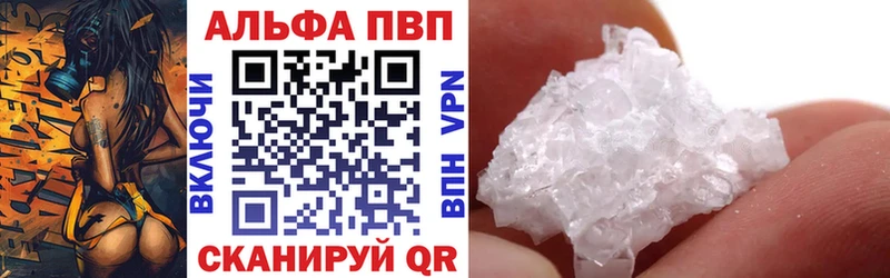A PVP СК КРИС  Светлоград 