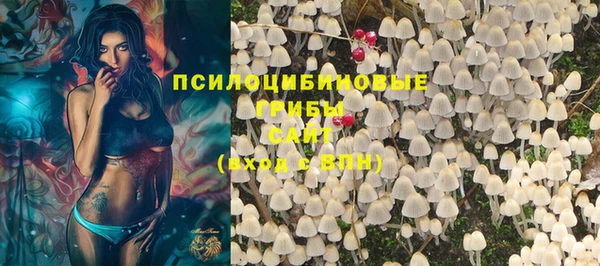 герыч Арсеньев