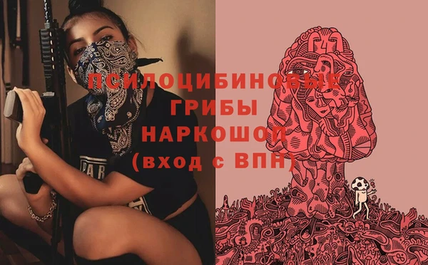 сатива Липки