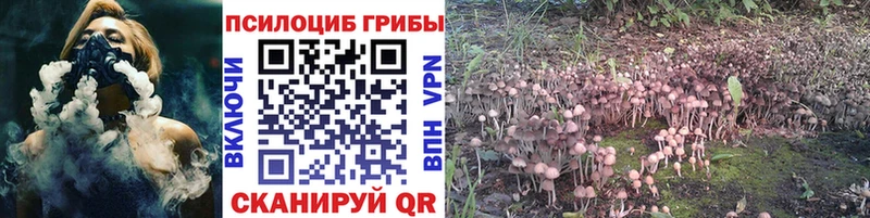 Псилоцибиновые грибы мухоморы  Светлоград 
